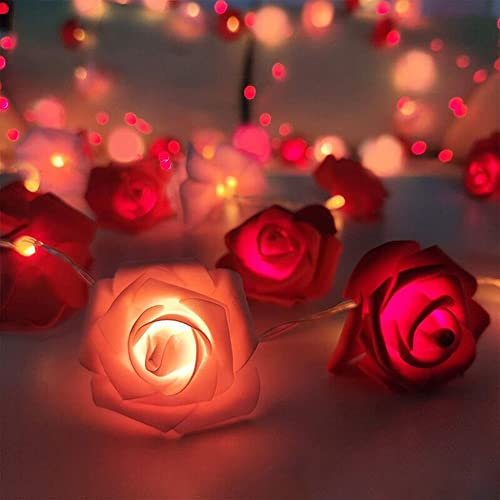 Rose String Lights: 19.6 Ft 40 LED Artificial Rose Garland Fairy Lights for Wedding, Garden Party Decor - USB Charged (Pink & Red)