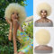Allbell Blonde Afro Perücke,kurze hüpfende lockige Perücke für schwarze Frauen,Vintage 70er Jahre Perücken synthetisches Haar Ersatz Partei Cospaly Kostümperücke