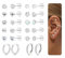 MOGASA 12 Paar Hypoallergene Chirurgenstahl Ohrringe Set für Damen Herren Knorpel Conch Tragus Helix Piercing Ohr Medizinische Ohrstecker und Creolen Set Silber Ohrringe Damen
