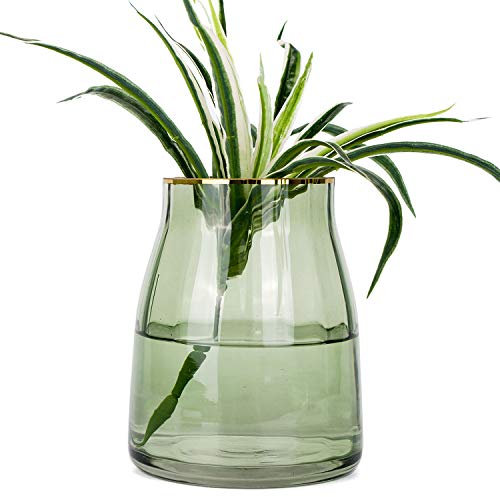VanEnjoy Blumenvase aus grünem, klarem Glas, dekorativ, vergoldeter Rand, Heimdekoration, 17,8 cm