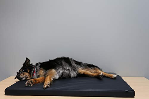 Beckers Beste Hundematte Kunstleder (80cm x 55cm x 5cm, Anthrazit)