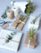 Geschenkpapier Graspapier Cream Eco - Breite 60cm - 25m lang - Z-500101