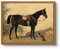 ARPEOTCY Leinwand Bilder mit Rahmen, Vintage Wandbilder, Klassisch Wand Deko Wohnzimmer Schlafzimmer Badezimmer Küche, Bauernhaus Zimmer Deko Aesthetic, Pferd Tier Painting, 20x25cm, klein