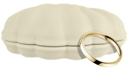 Boîte à bijoux en coquillage, boîte à bijoux en forme de coquillage, pour femme, présentoir à bracelets en silicone, décoration de boîte à bijoux, porte-bagues, petite figurine de coquillage, objet de