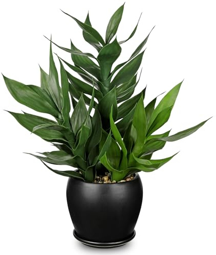 Arborus Plantas artificiales de bambú para interiores, 19.6 pulgadas de alto, planta de bambú falsa de la suerte en maceta negra, plantas verdes artificiales decorativas para el hogar, oficina, cocina
