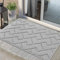 Biscpro Fußmatte Innen Außen 60 x 90 cm Waschbar eingangsteppich innen Schmutzfangmatte rutschfest,Türmatte Innen Teppich für Eingang, Patio, Flur, Garten, Innen und Außen (Light Grey)