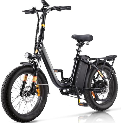 Finbike E Bike mit 48V 15.6Ah Abneh mbare Akku,20 * 3.0 Zoll Fette Reifen All-Terrain Elektrofahrräder,7-Gang Getriebe mit LCD-Display,PAS-Modus Max Reichweite 120KM,Pedelec Herren Damen 25km/h 250W