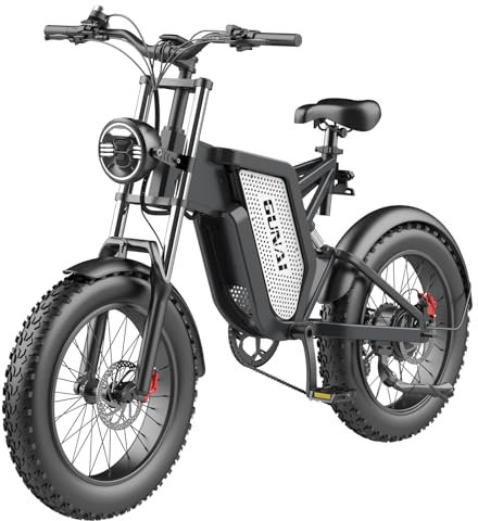 KELKART Fat Tire Electric Bike, 20x4.0 Inch Electric Mountain Bike with 48V 25AH Removable Li-Ion Battery and 7 Speed Shifter for Adults.