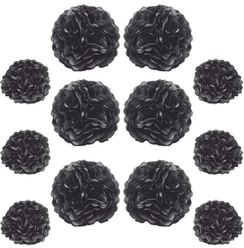 Ruidee 12 Pezzi Pompon di Carta Velina 25,4 cm e 30,5 cm Decorazioni Fiori di Carta da Appendere Palla di Fiori di Carta Colorata Pompon per Decorazione Feste e Matrimoni (ZH/Nero)