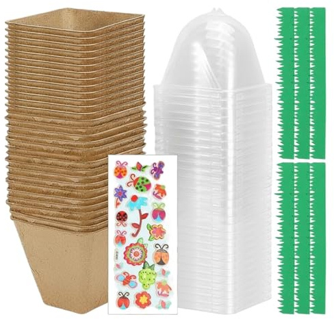 Niesel Kit per la Coltivazione delle Piante per Bambini,Giocattoli Educativi STEM - Kit Di Crescita Serra Per Bambini Con Adesivi,Per Casa Balcone Compleanno Ragazzi Ragazze Famiglia Natura