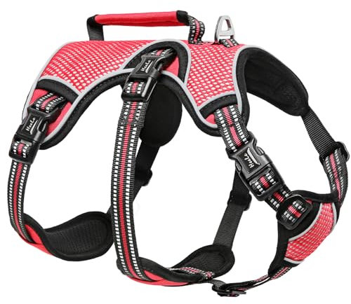 HEELE Hundegeschirr, Ausbruchsicher, Schnalle im Halsbereich, Reflektierend, Brustgeschirr mit Robuster Griff, Panikgeschirr Hund, Hundegeschirr Stabilen Eindruck, Passt wie Angegossen, Rot, XL