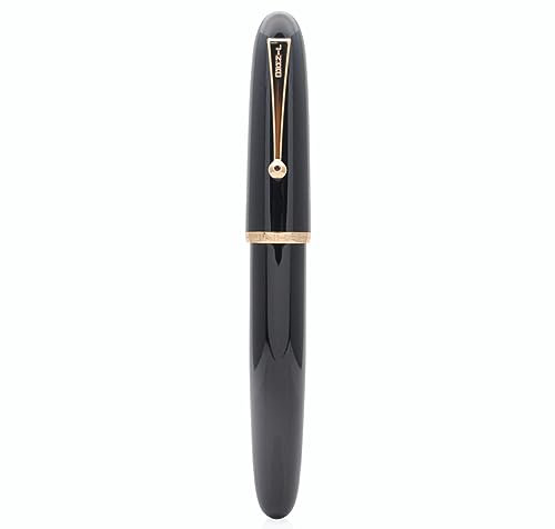 JINHAO DADAO 9019 Fountain Pen Acrylic Ink Pen with Ink Converter (Fine Nib, Black)