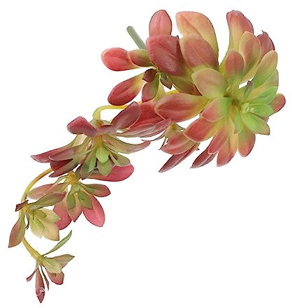 Cabilock 3stücke Künstliche Sukkulente Aus Rattan Dekorationspflanze Für Zuhause Realistisches Design Vielseitig Einsetzbar Für Partys Events Hochwertige Kunstpflanze Für Fotomotive