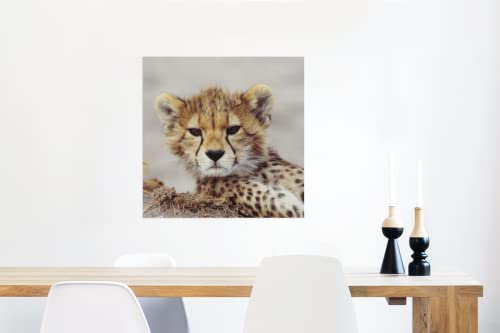 MuchoWow Glasbild Glasfoto Wandbild Bilder Deko 50x50 cm Gepard - Jung - Porträt