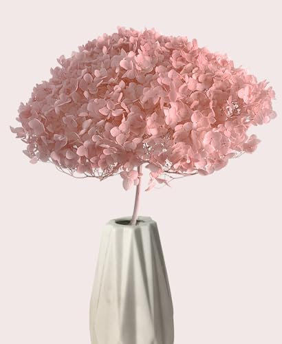 DongArts Natürliches konserviertes Blumenarrangement, Hortensien-Blumen mit Stiel für Hochzeit, Tafelaufsatz, Heimdekoration (Rosa)