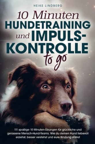 10 Minuten Hundetraining