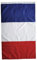 Ligeinsrk Drapeau français Couleurs Vives Drapeau National français de Jardin résistant à la fondu avec œillets 60x90 cm