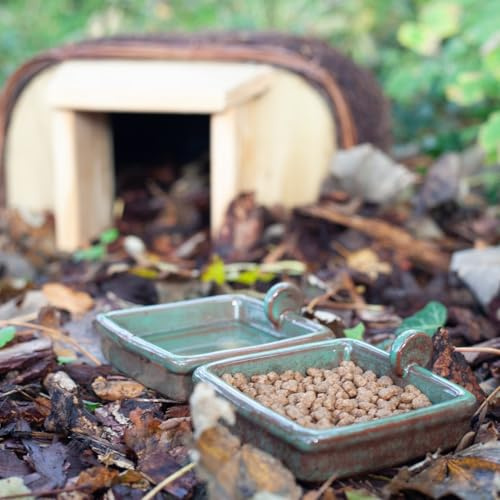 Hedgehog Snack and Water Bowls - Ceramic Feeding Bowls