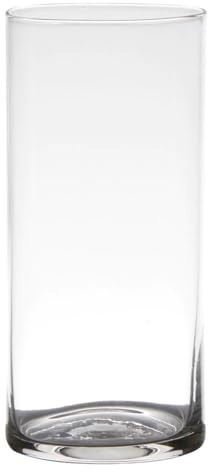 Dekoglas, Vase Zylinder H. 19cm D. 9cm transparent rund Glas Hakbijl