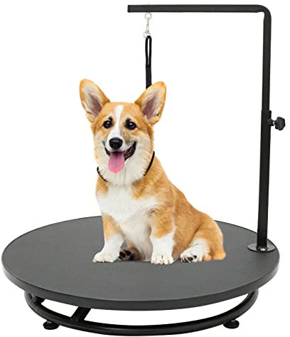 Kalolary 24 Zoll Trimmtisch für Hunde/Katzen, 360 ° drehbarer Hundepflegetisch, höhenverstellbarer Pflegetisch für kleine Hunde, Heimtier Spa Tischstation