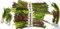 PondPlantsUK Lincspplants Mixed Amount of Tropical Aquatic Plants No Lead (250 Weighted Live Aquarium Plants)