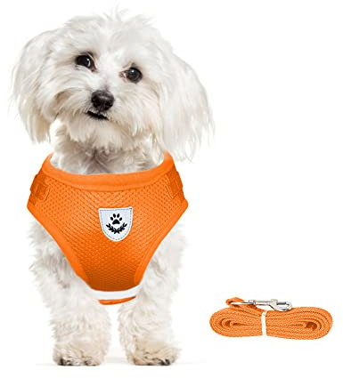 meioro Hundegeschirr mit Leine-Reflektierend Weich Gepolstert Hunde Geschirr-Atmungsaktiv Verstellbare Brustgeschirr für Kleine Mittelgroße Welpen Katzen-Schwarz Weste (Orange, XS-Brust:26-29cm)