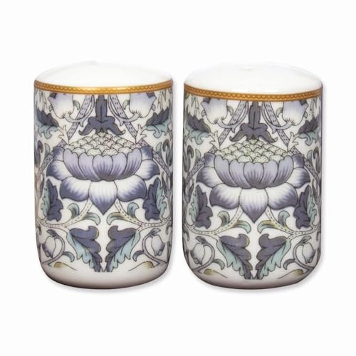 lesser and pavey LP95153 Ceramic Salt and Pepper Shaker Set | Lodden design | Set of 2 Condiment Dispenser, Multicolor