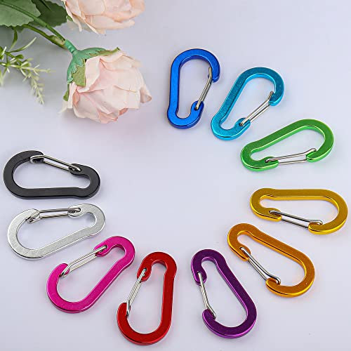 D Karabiner Mini Karabinerhaken Aluminium Klein Carabiner für Camping/Angeln/Wandern (Bunt)