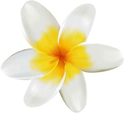 Selbstklebender Aufkleber Autoaufkleber Sticker wetterfest Blumen Mülltonne Blumenwiese Dekoration Fensterbild Fliesenaufkleber 20 x 22 cm - Gelbe Frangipani -