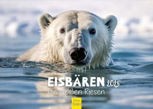 Edition Seidel Premium Kalender Eisbären Die weißen Riesen 2025 Format DIN A4 Wandkalender Tierkalender Nordpol Grönland Eis Bär Polarbär Raubtier