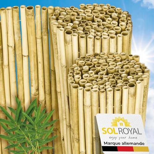 Sol Royal Premium Bambus Sichtschutz Bambuszaun witterungsbeständig Balkon | 140x250cm hell glänzend hochwertig Gartensichtschutz Sichtschutzzaun hoch Bambusrohre Ø2-3cm Garten Zaun blickdicht B99