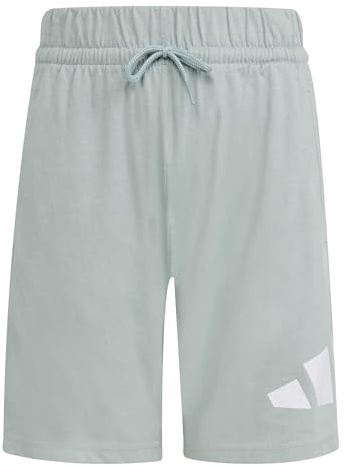 adidas Unisex Kids Essentials Big Logo Shorts, Wonder Sage/White, 15-16 Years
