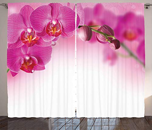 ABAKUHAUS Orchidee Rustikaler Gardine, Exotische Orchid Feng Shui, Schlafzimmer Kräuselband Vorhang mit Schlaufen und Haken, 280 x 225 cm, Magenta Rosa