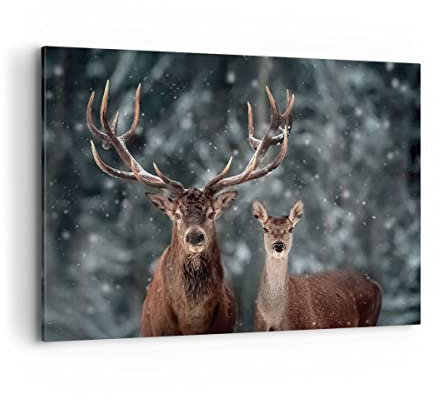 Bilder auf Leinwand 100x70cm Leinwandbild mit Rahmen Hirsch Rentier Reh Groß Wanddeko Bild Schlafzimmer Küche Deko Wandbilder Dekoration Wohnzimmer Wall Decor Canvas Wand Kunstdruck Art AA100x70-5060