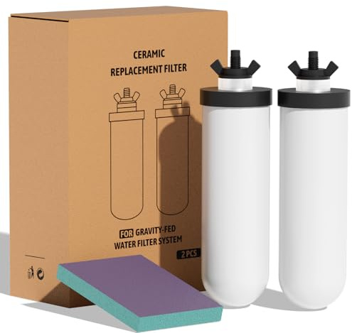 Lot de 2 Cartouches de Rechange en Céramique pour Système de Filtration d'Eau par Gravité