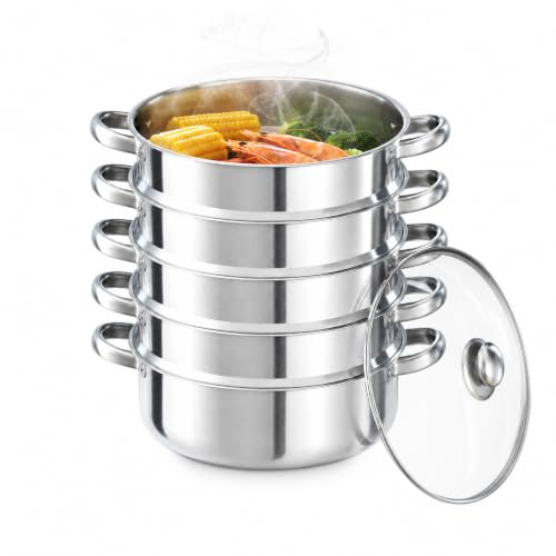 Dampfgarer Topf, 5-Lagiger Edelstahl 30 cm Dampfkochtopf mit Glasabdeckung für Steamer Cooking, Erwärmt die Speisen Gleichmäßig und Zeitsparend, Silber Mantowarka für Küche Alle Herdarten Geeignet