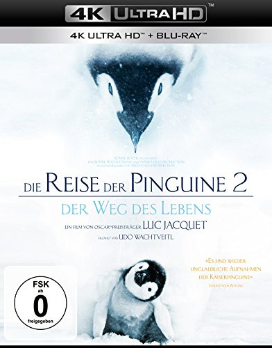 Die Reise der Pinguine 2 – Der Weg des Lebens (4K Ultra HD) + (Blu-ray)