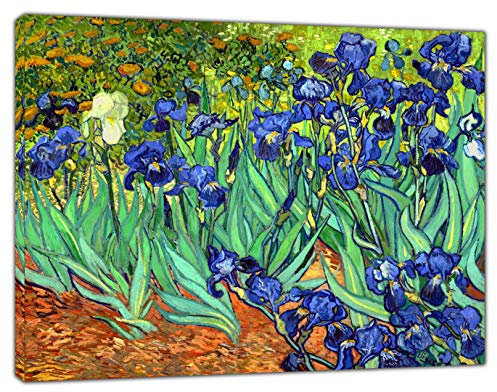 Iris de Van Gogh Peinture à l'huile sur toile Encadrement Tableau sur cadre photo d'Acheminer Décoration murale, 34 x 24inch -18mm depth