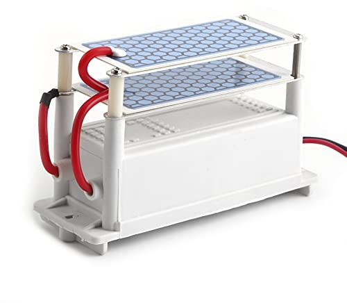 Thonlai Generador de Ozono para Coche de 12 V, Esterilizador de Aire Ozonizador Portátil de 10 G/h con Placa de Cerámica para Eliminación de Olores, Ambientador, Eliminación de Humo y