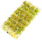 Ciieeo 1 Schachtel Sandtisch DIY Material Simulationsblume Gelbe Grasbüschel Miniatur Berge Blumenvegetation Miniatur-blumengruppe Selbstklebende Plastik Kunstrasen Dreidimensional