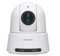 SONY SRG-A40WC 4K PTZ Camera w/autoframing