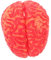 ibasenice 1 Pc Juguete De Halloween Motosierra Fiesta Juguete De La Casa Embrujada Horror Zombi Decoraciones De Sangre De Halloween Decoraciones De Miedo Decoración De Halloween Artificial