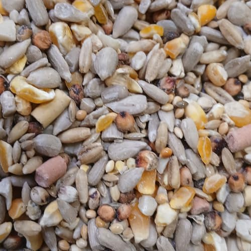 7.5 Kg Johnston & Jeff Premium Wild Bird Seed Wheat Free with Suet High Energy Mix for Garden Birds with Sunflower Hearts Peanuts Insects Berry Pellets for All Seasons Feeding