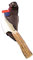 ELECTROPOLIS Jagdmesser Muela Bluthund-11A Faust Staghorn, Klinge MOVA 11 cm, 11 cm + Griff Geschenkkarte Mehrzweck