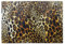 ShopQuality4U Premium Medium Glass Cutting Board Cheese Board Board Animal Leopard Print Art Design Kitchen Worktop Saver Protector