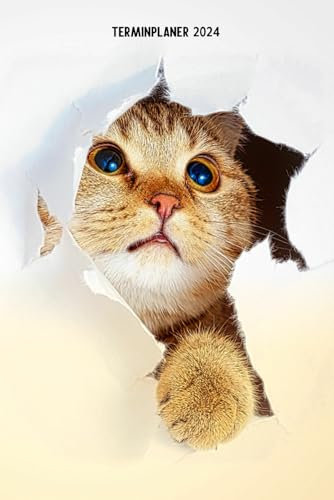Terminplaner 2024: Cooles Katzen Design Jahresplaner und Kalender von Januar bis Dezember 2024 - Organizer und Zeitplaner für 1 Jahr