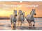 Pferdezauber Camargue DIN A3 Kalender für 2026 Pferde und Fohlen - Seelenzauber