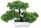 PetHot Bonsai Tree with Pot Artificial Plant Fake Tree Decoration for Home Office Desktop windowsill