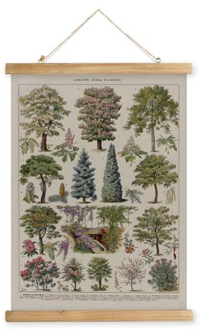 XIAOAIKA Affiche Botanique Vintage de Jardin - Poster Rétro des Arbres et Plantes avec Cadre en Bois, Décoration Murale Élégante pour Intérieur, Style Classique Français, 40 x 58 cm