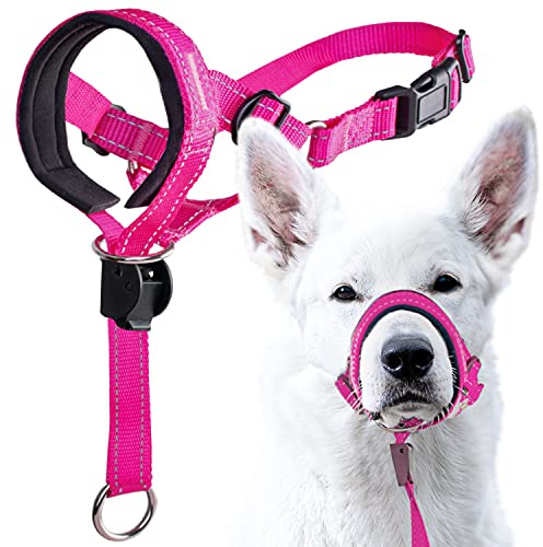 GoodBoy Dog Head Halter with Safety Strap - Stops Heavy Pulling On The Leash - Padded Headcollar for Small Medium and Large Dog Sizes - Head Collar Training Guide Included (Size 2, Pink Nylon)